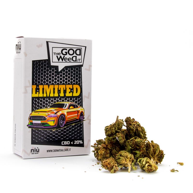 Limited Cannabis Terapeutica