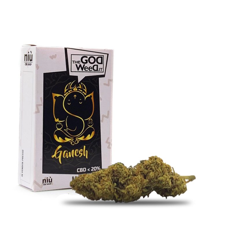 Ganesh CBD flowers
