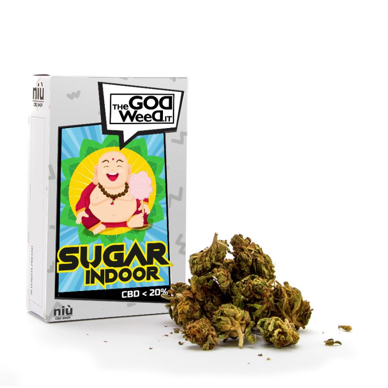 Sugar Indoor cannabis